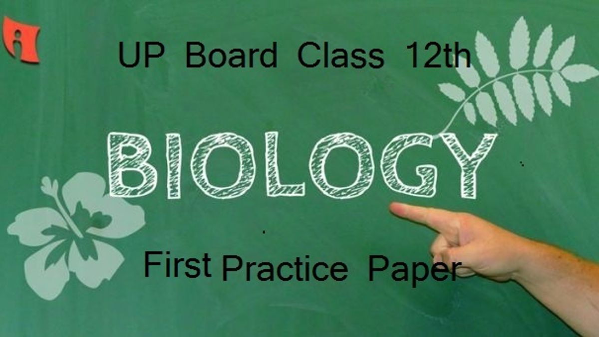 UP Board Class 12 Biology Practice Paper