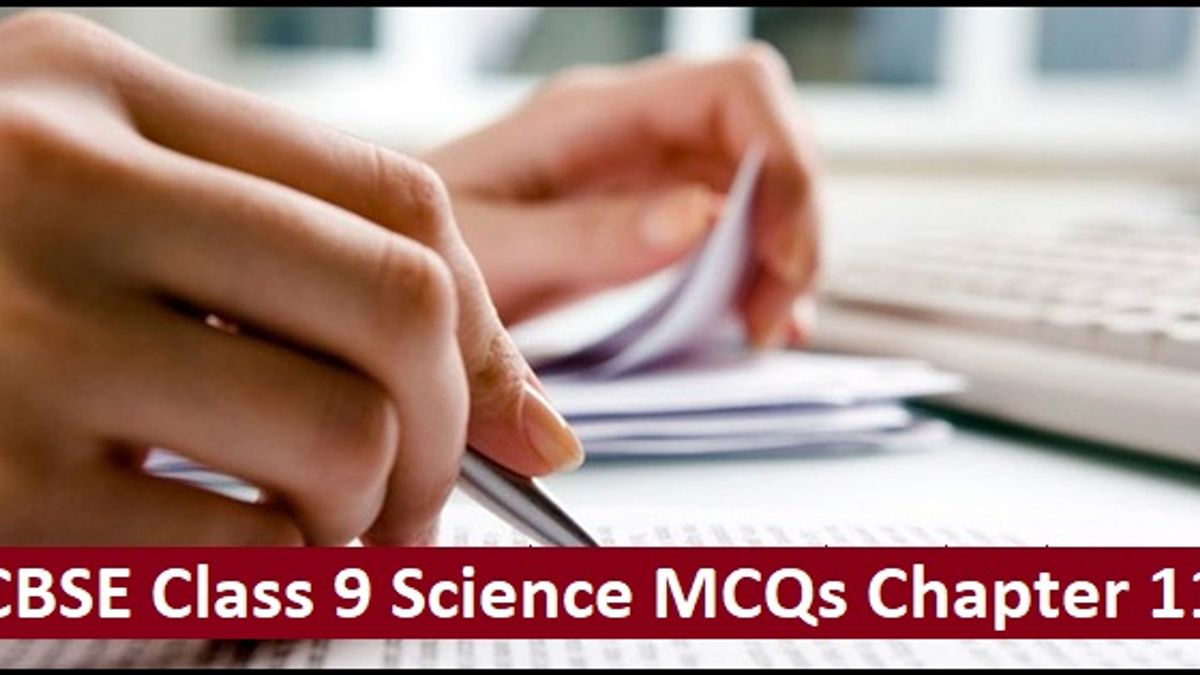 CBSE Class 9 Science Important MCQs from Chapter 11 Work And Energy for Annual Exam 2020