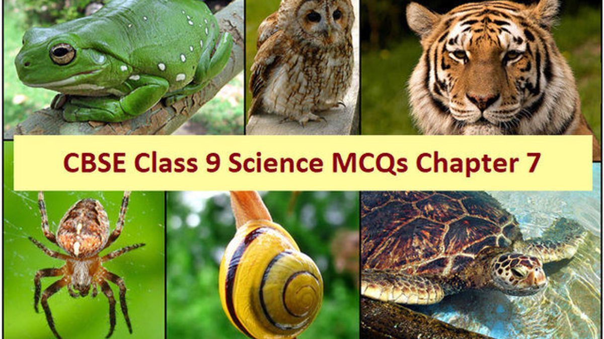 CBSE Class 9 Science Important MCQs from Chapter 7 Diversity in Living Organisms for Annual Exam 2020