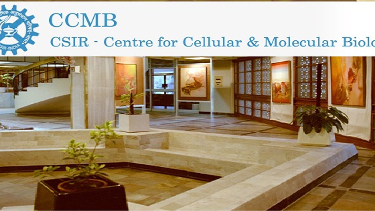 Consultant vacancies