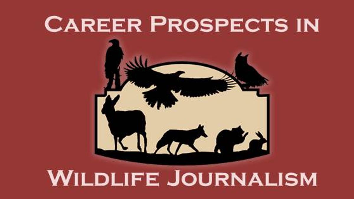 Career Growth and its possibilities in Wildlife Journalism