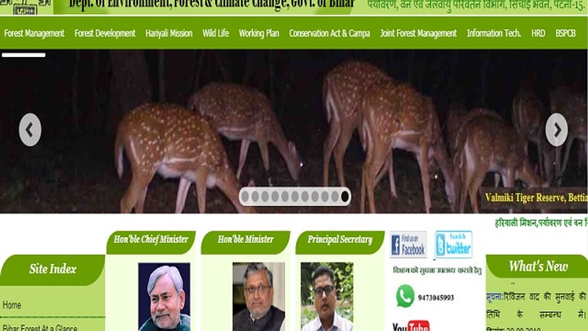Department of Environment Forest and Climate Change Bihar Senior Research Fellow and Other Posts 2019