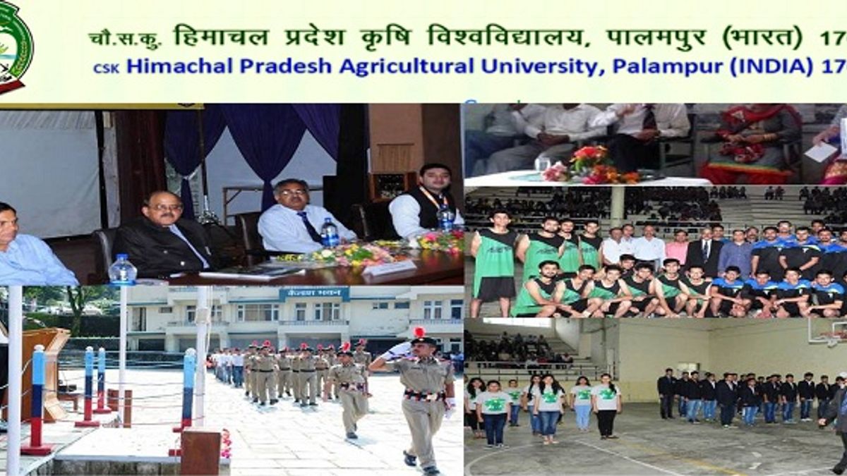 HPKV Recruitment 2018