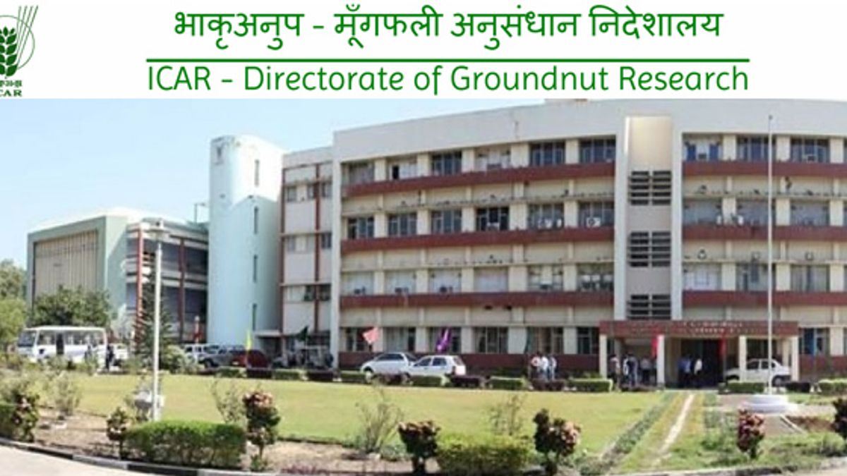 ICAR-Peanut Research Directorate Recruitment