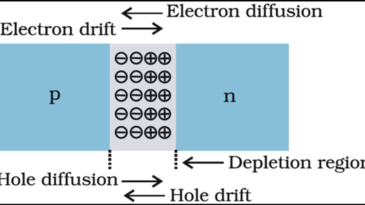 JEE Examination 2019: Electronic Devices