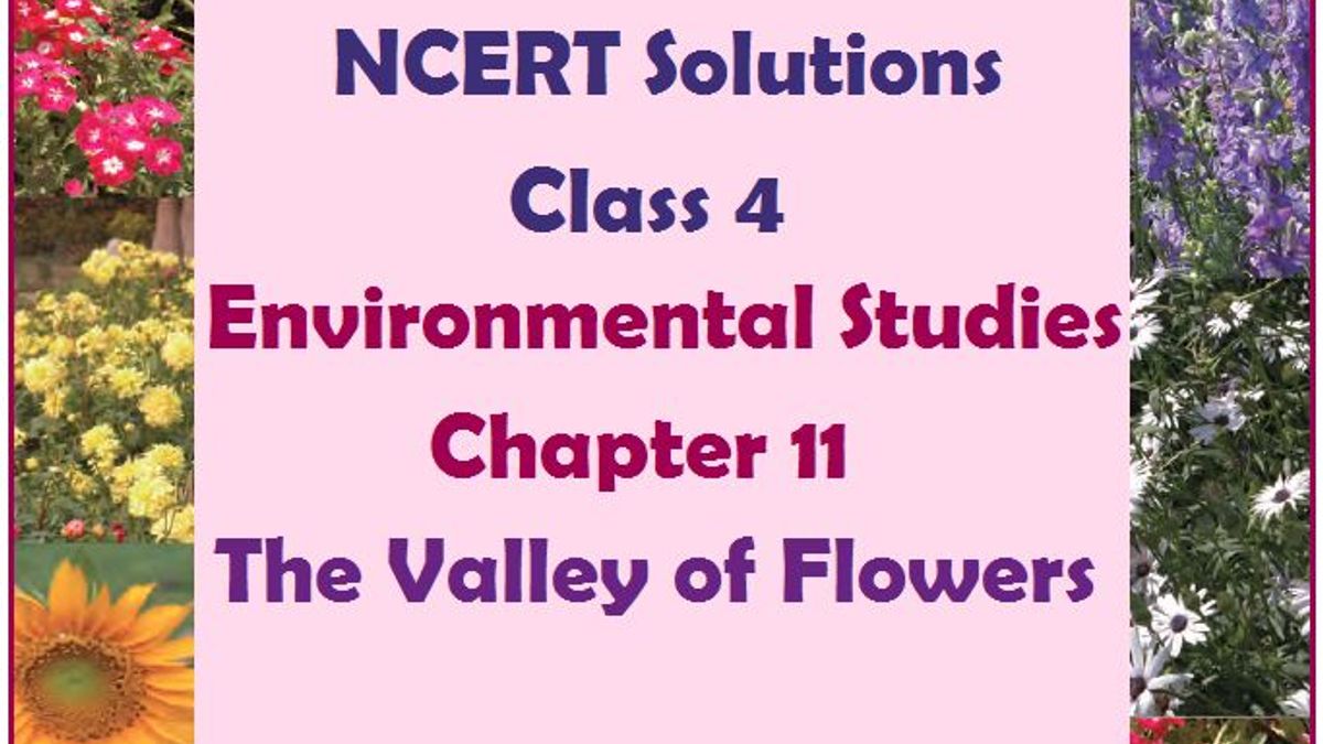 NCERT Solutions for Class 4 EVS Chapter 11: The Valley of Flowers