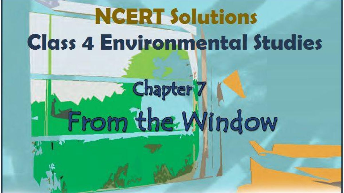 NCERT Solutions for Class 4 EVS Chapter 7: From the Window