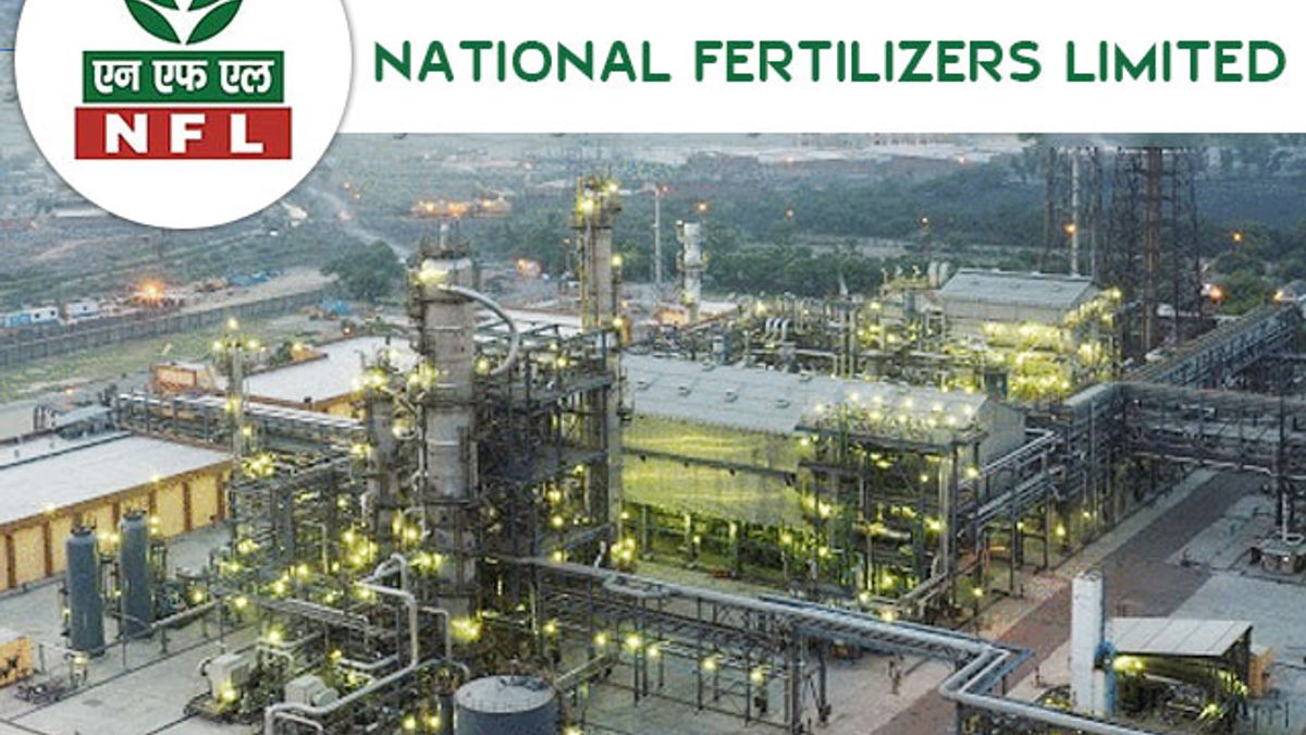 National Fertilizers Limited jobs
