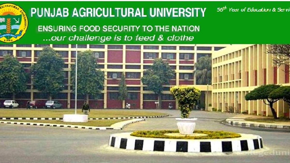 Punjab Agricultural University Recruitment 2019