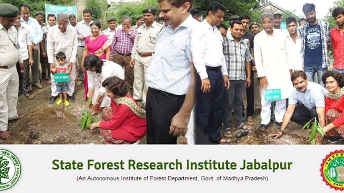MP State Forest Research Institute