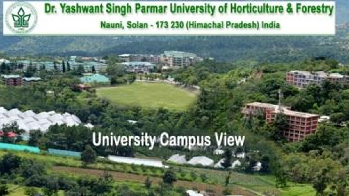 Dr. YS Parmar University of Horticulture and Forestry Jobs