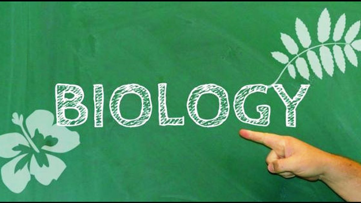 CBSE Class 12 Biology Marking Scheme & Sample Paper: 2019
