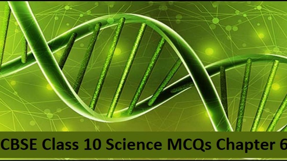 CBSE Class 10 Science MCQs Chapter 6 Life Processes