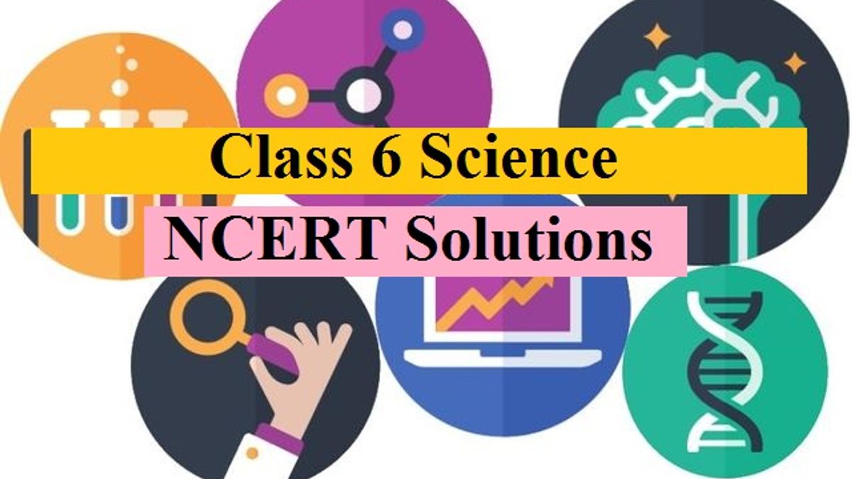 NCERT Solutions for Class 6 Science