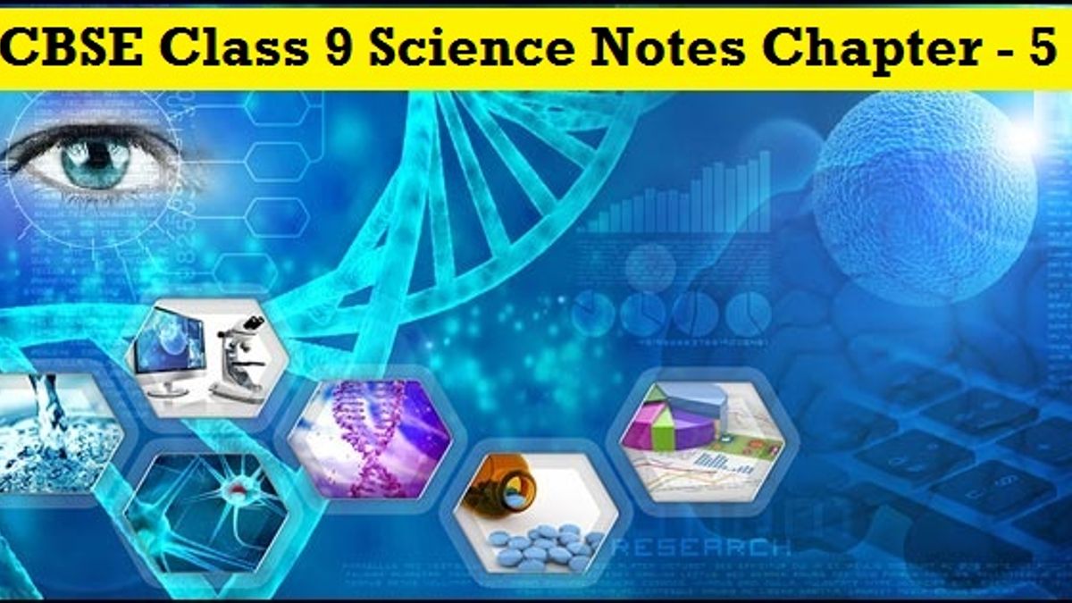 BSE Class 9 Science Chapter Notes on The Fundamental Unit of Life 