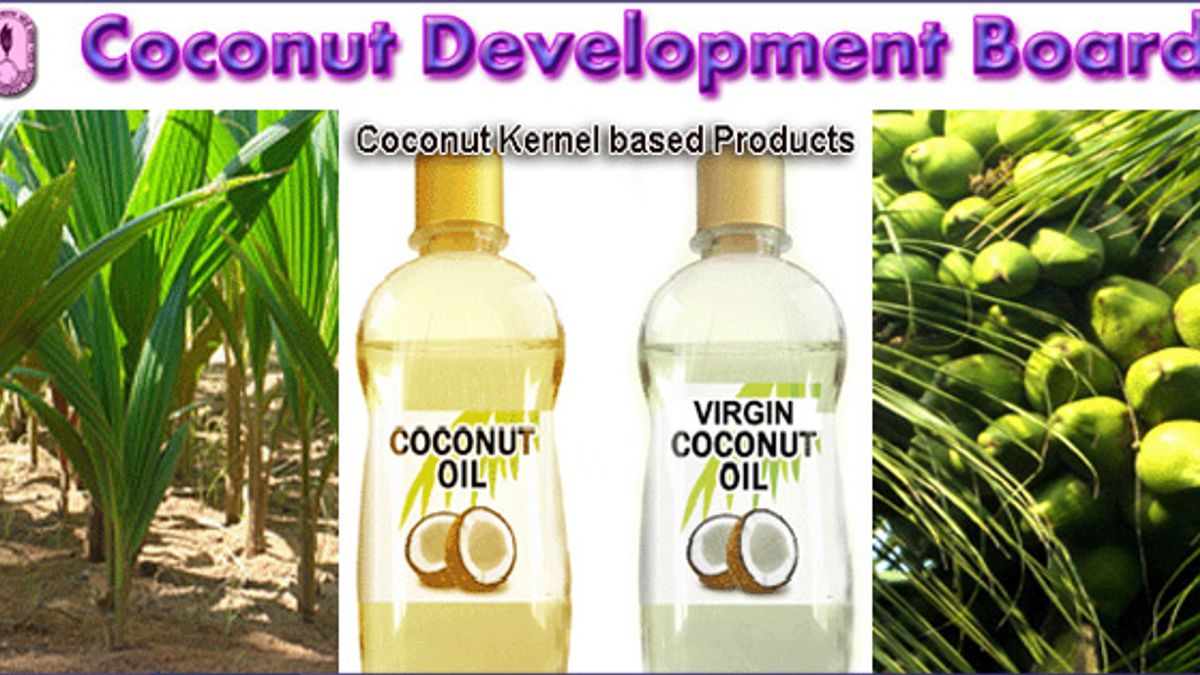 Coconut Development Board Recruitment 2017