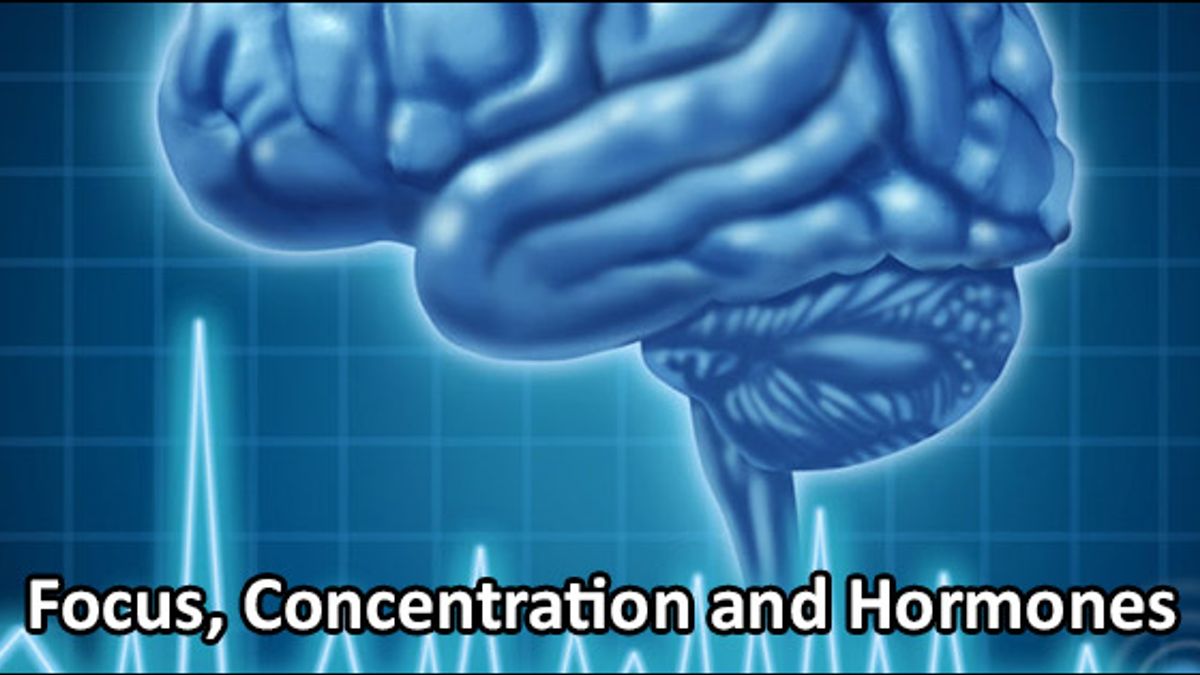 Hormones affecting the Concentration Power