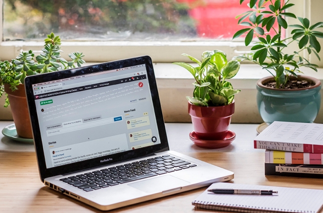 freelancing is an evergreen career option