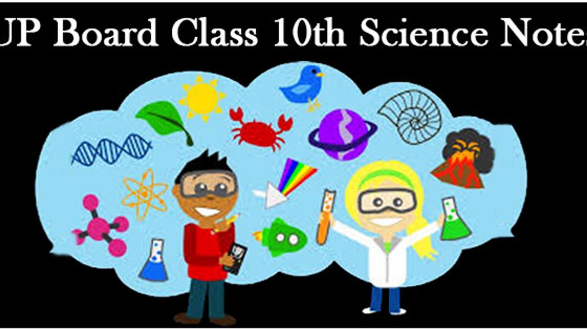 Science notes on Reflection Of Light