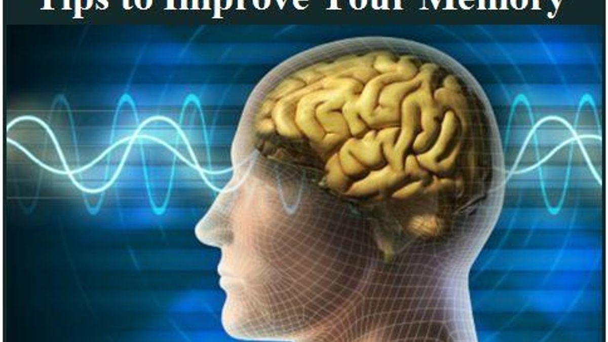 Best tips to improve your brain power