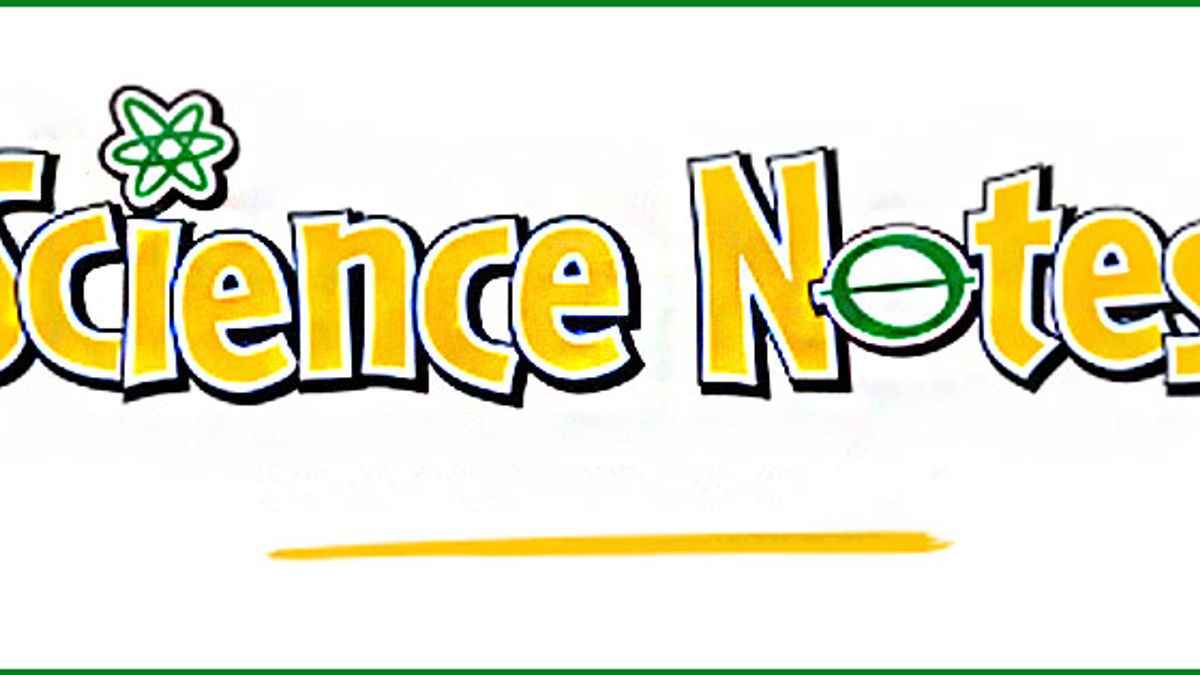 Bihar Board Class 10 Science Revision Notes