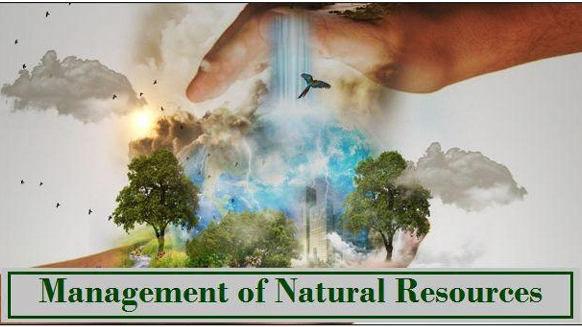 Management of Natural Resources: NCERT Solutions