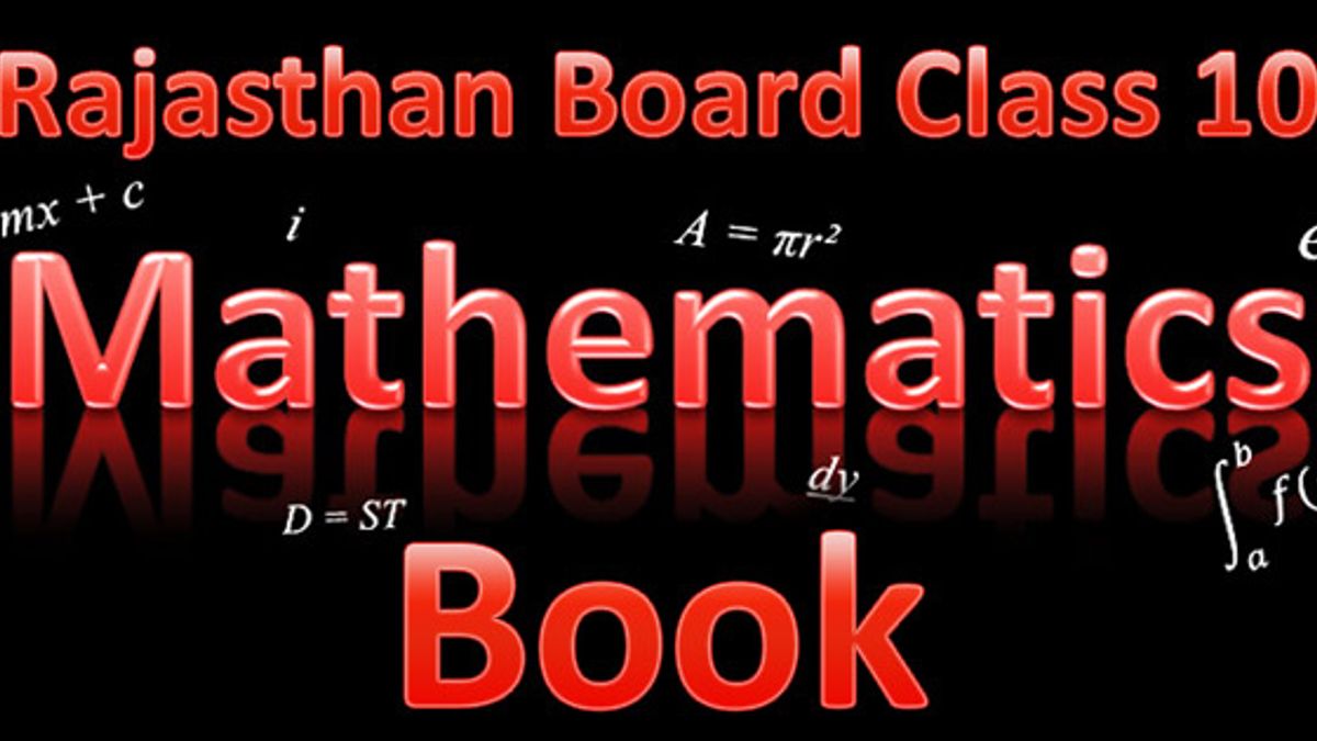 Rajasthan Board Class 10 Computer Book