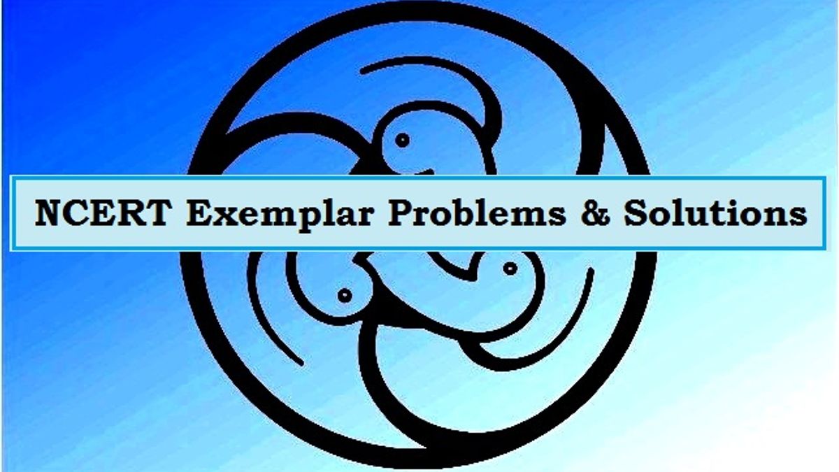 Class 10 NCERT Exemplar Solutions
