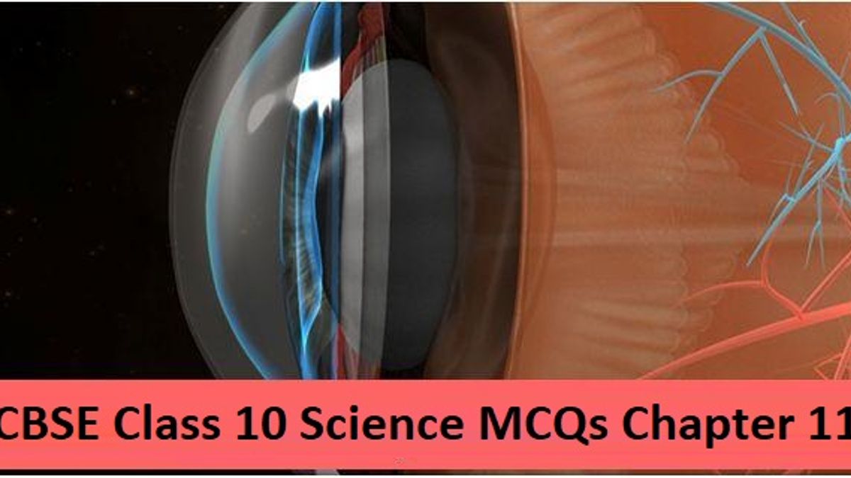 CBSE Class 10 Science MCQs Chapter 11 The Human Eye and The Colourful World