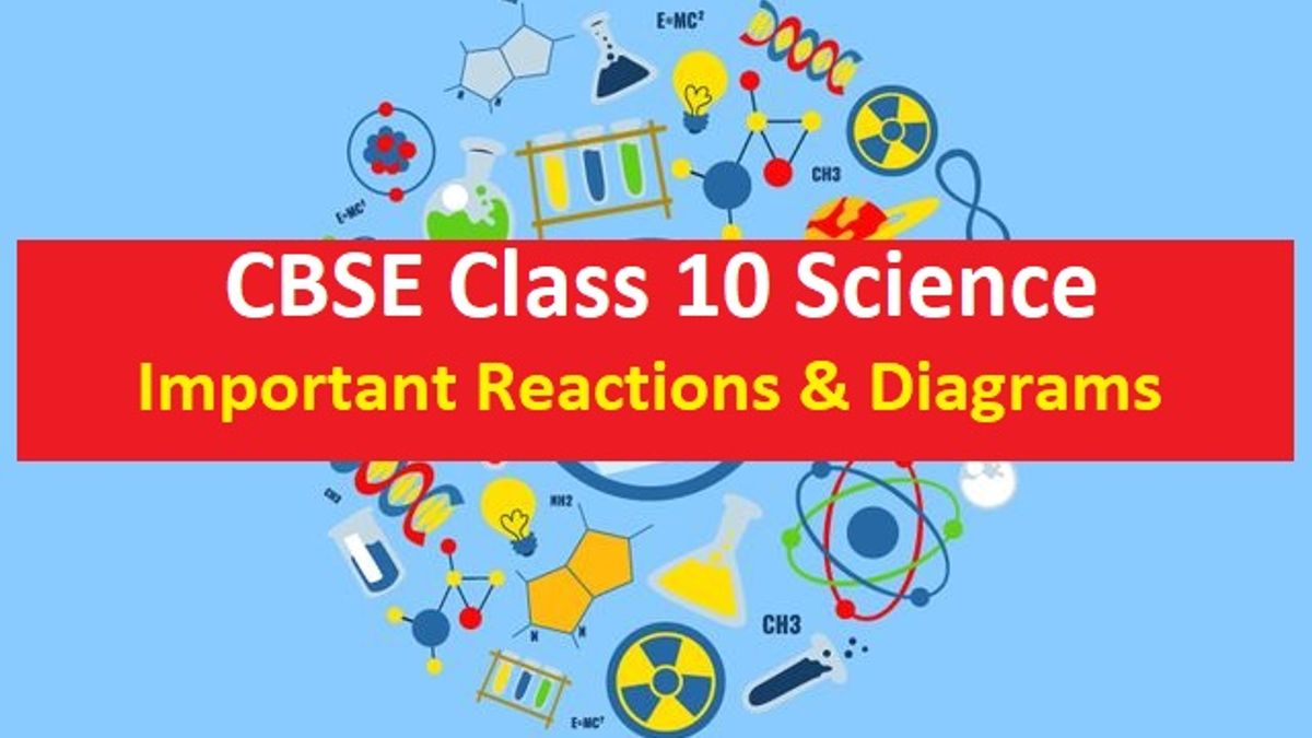 CBSE Class 10 Science Exam 2020
