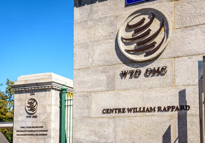 WTO 7th TPR of India