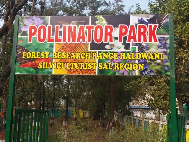 India's first Pollinator Park in Haldwani, Uttarakhand