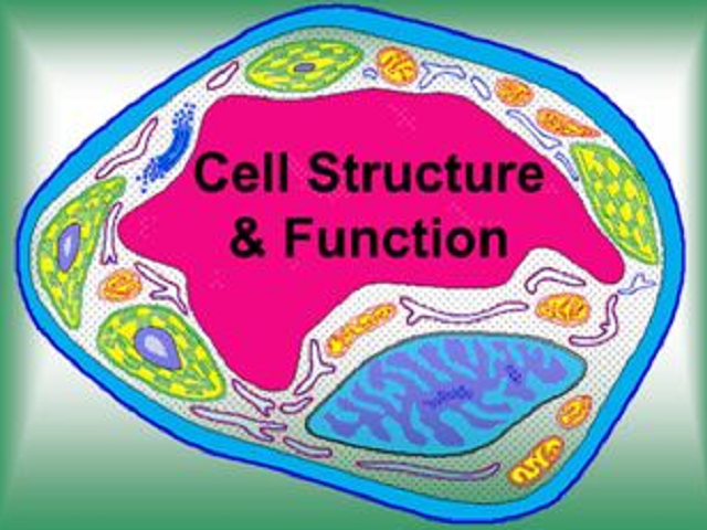 GK Quiz on Cell its Structure and Functions