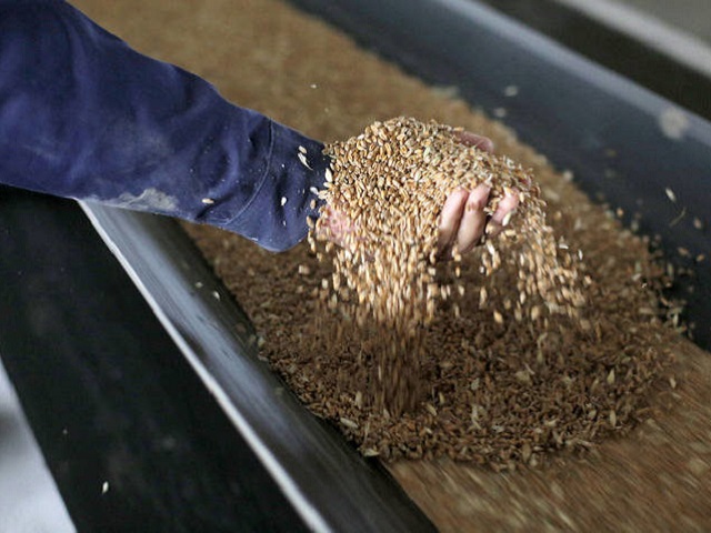 World Food Price Index rises in December for 7th month in a row
