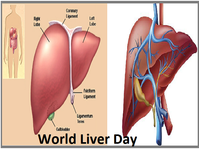 World Liver Day 