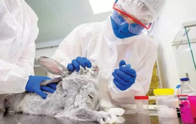 Carnivac-Cov: World's first COVID-19 vaccine for animals registered in Russia