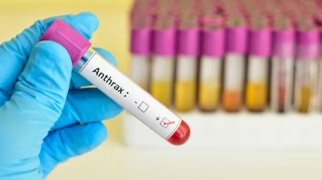 Anthrax Pneumonia Case In China, Patient Under Treatment: Report
