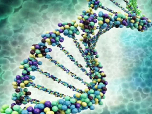 Term 2 - CBSE Class 12 Biology Syllabus 2021-22