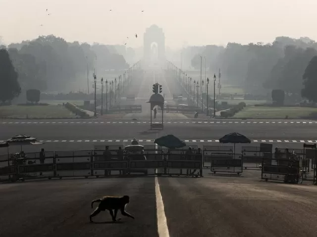 Color-coded action plan in Delhi