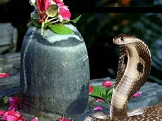 Nag Panchami 2021