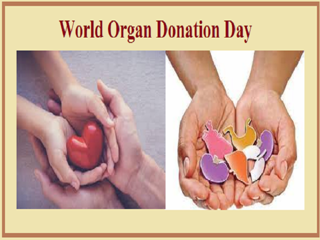 World Organ Donation Day 