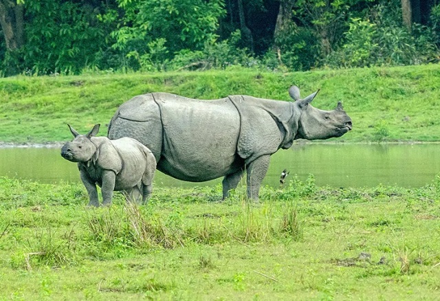 Kaziranga becomes India’s first National Park with satellite phones worth Rs. 16 lakh