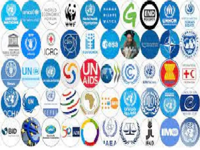 International Organizations