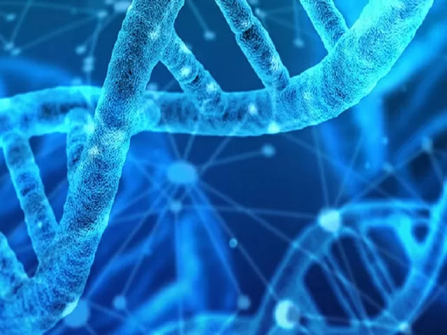 CBSE Class 11 Biology Syllabus 2021-22: Term 1 (PDF)