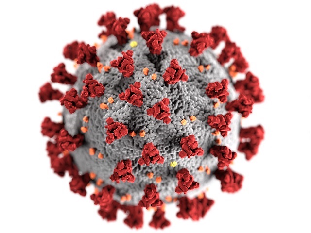 Researchers identify Covid antibody that protects against wide range of variants