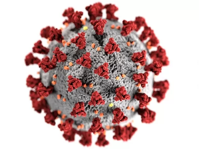 Researchers identify Covid antibody that protects against wide range of variants