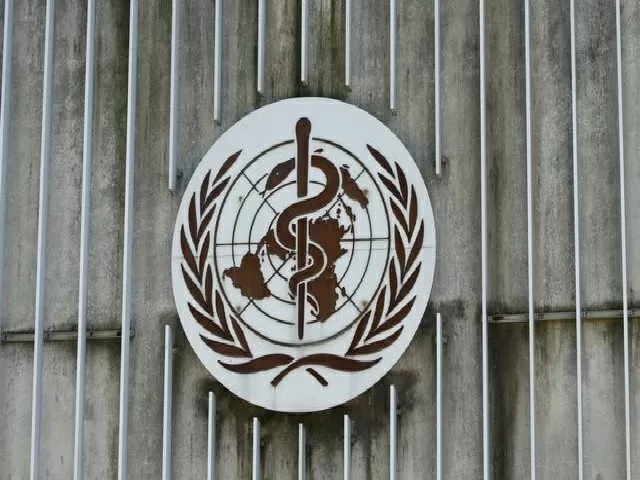 WHO experts on COVID origin