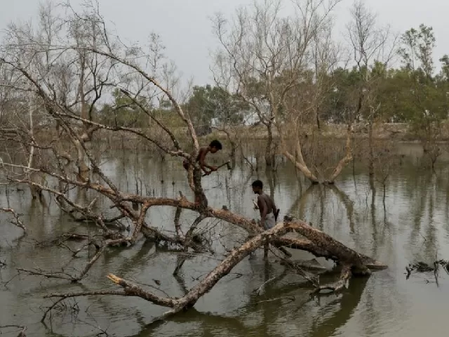 Biodiversity Conservation