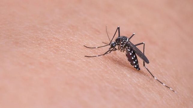 First Zika virus case in Maharashtra reported