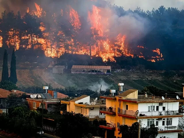 Forest Fire in Turkey